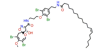 Psammaplysin W